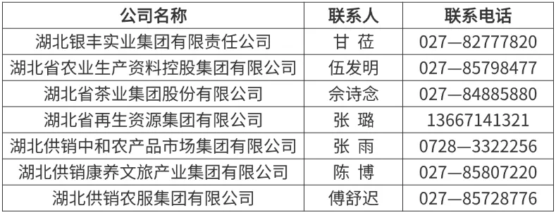 画板 1.png